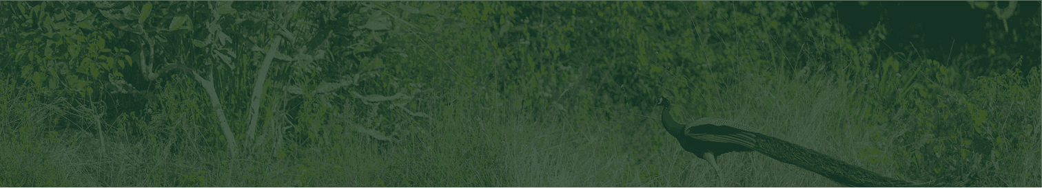 /uploads/Rectangle_8983_9d3a7b9d63.png