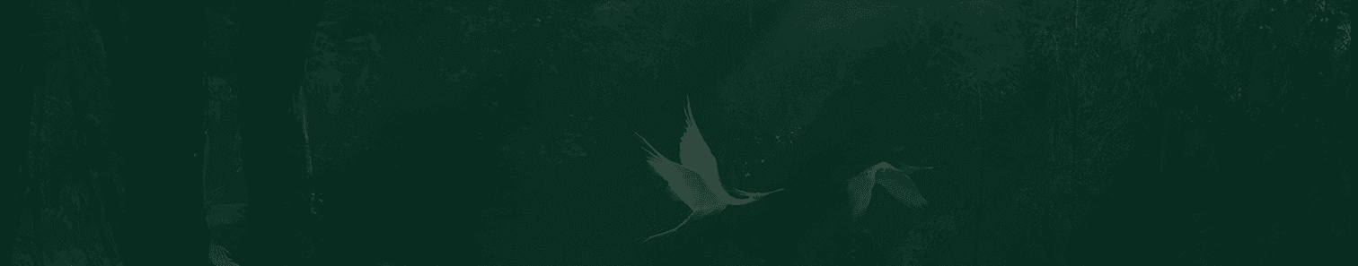 Rectangle 8983 (2).png